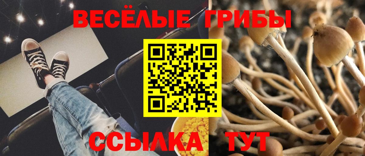 купить наркотик  Вход с VPN  Лыткарино  Псилоцибиновые грибы Magic Shrooms 